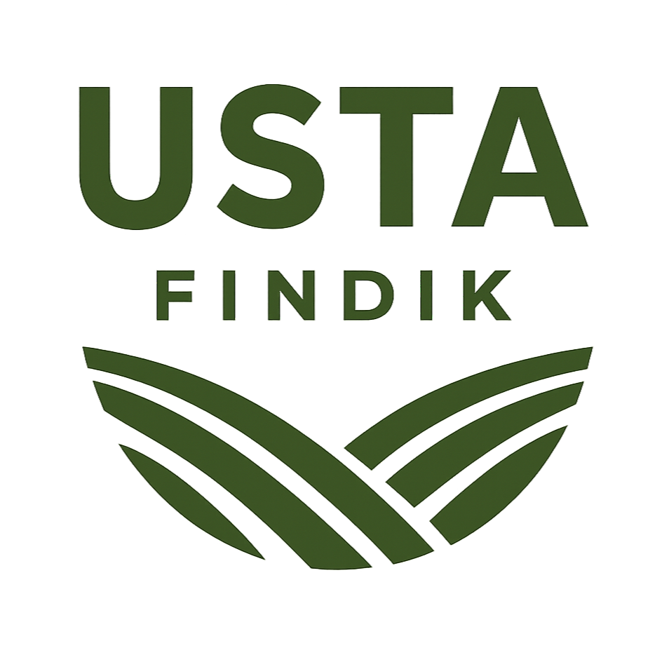 Usta Fındık